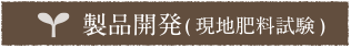 製品開発（現地肥料試験）